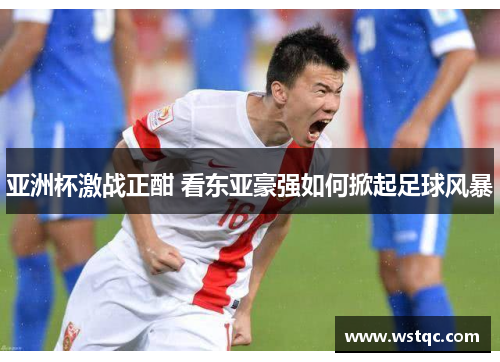 亚洲杯激战正酣 看东亚豪强如何掀起足球风暴